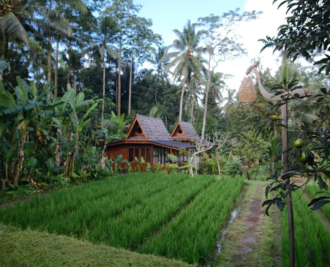 Uma Cabins Ubud Indonesia